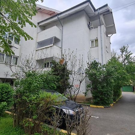 Vs Central Apartment 奥托佩尼 外观 照片